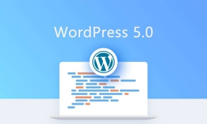 WordPress 5.0 l(f)˿ȥܺõľ݋